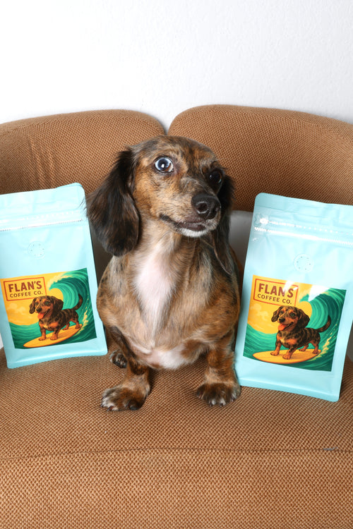 Winnie's Roast Colombian Dark Roast – Small-Batch, Veteran-Owned, Freshly Roasted Beans