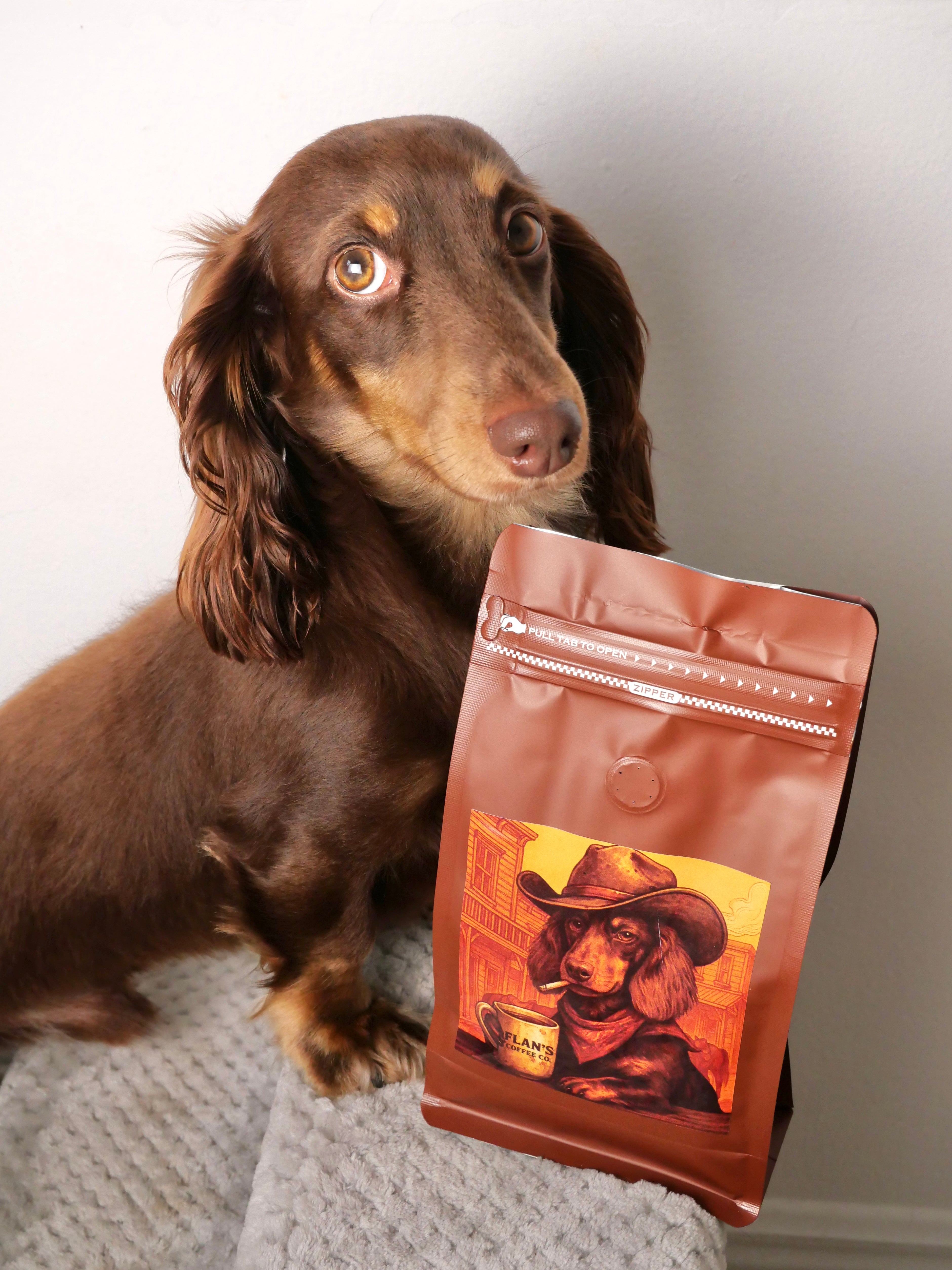 Light/Medium Roast Coffee Blend – Small-Batch, Veteran-Owned, Freshly Roasted Beans